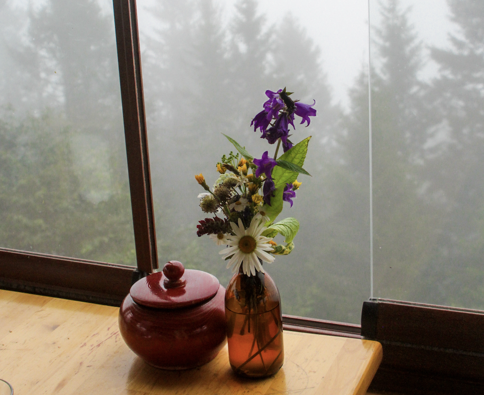 Foggy minnesotan window