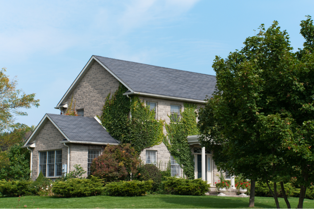 Minnesota house with vines