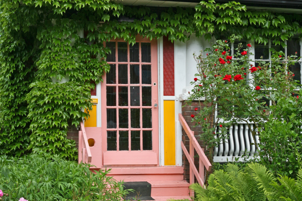 vines growing over door