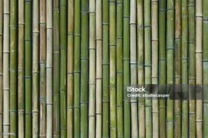 Bamboo Fence Privacy Deck