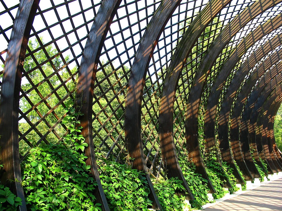 Lattice Ivy Privacy Deck